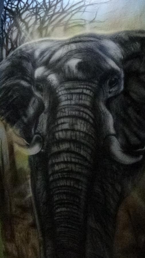 Pousada Encanto E Magia São Tomé das Letras Exteriör bild